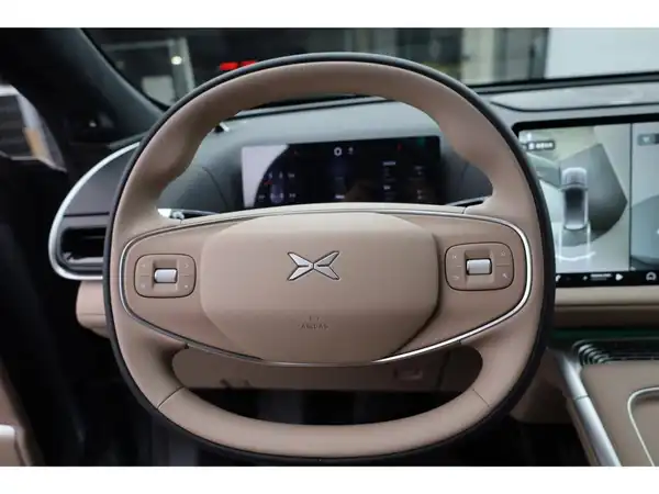 XPENG G9 Performance AWD 2025 (12/20)