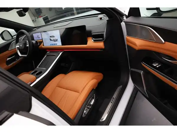XPENG G9 AWD Performance Modell 24 (12/29)